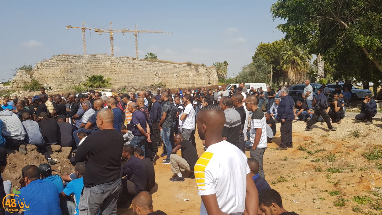 albeedjanaza (7).jpg